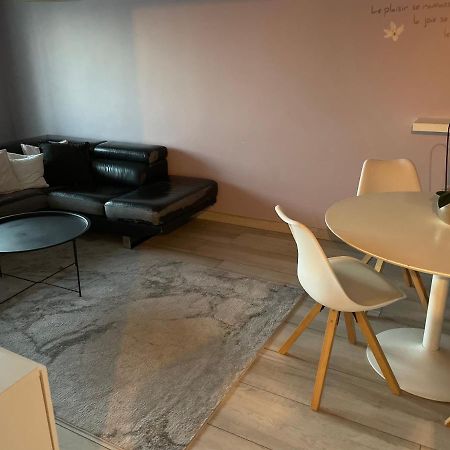 Superbe Appartement Avec Place De Parking Gratuit Strasbourg Luaran gambar