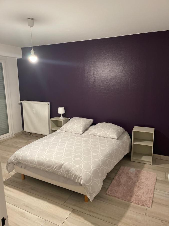 Superbe Appartement Avec Place De Parking Gratuit Strasbourg Luaran gambar